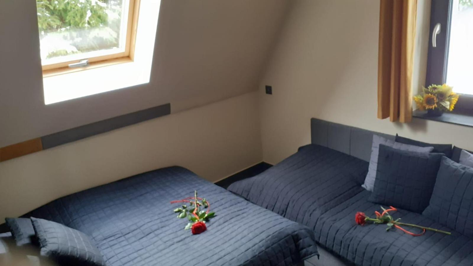 Apartament Zaciszny Zakatek Zawoja Zewnętrze zdjęcie