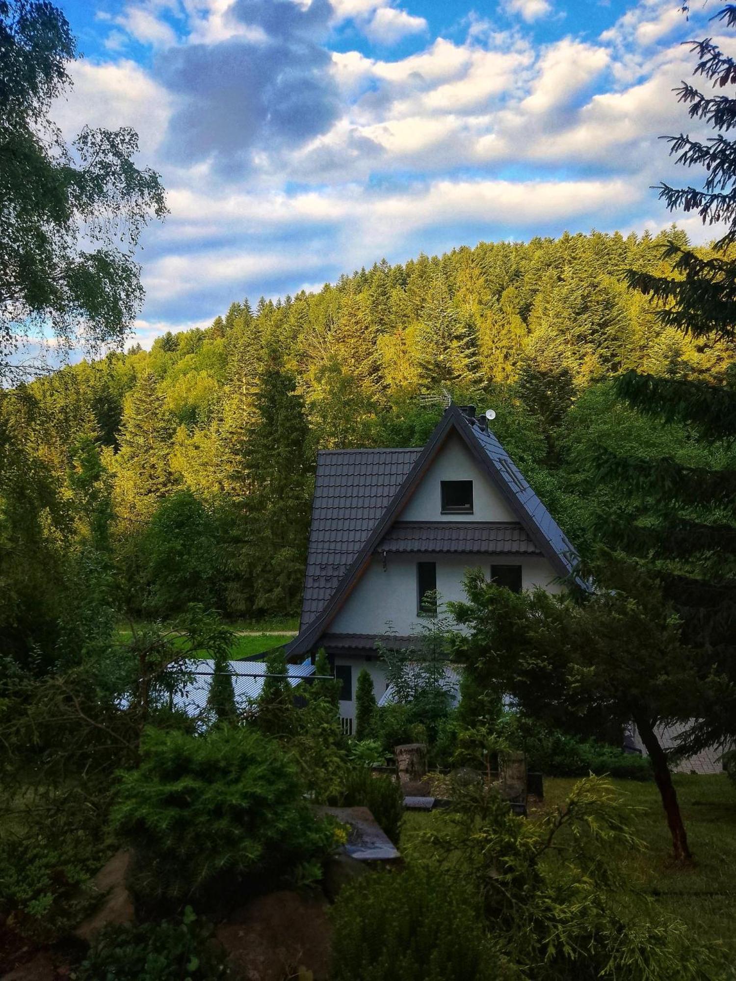 Apartament Zaciszny Zakatek Zawoja Zewnętrze zdjęcie