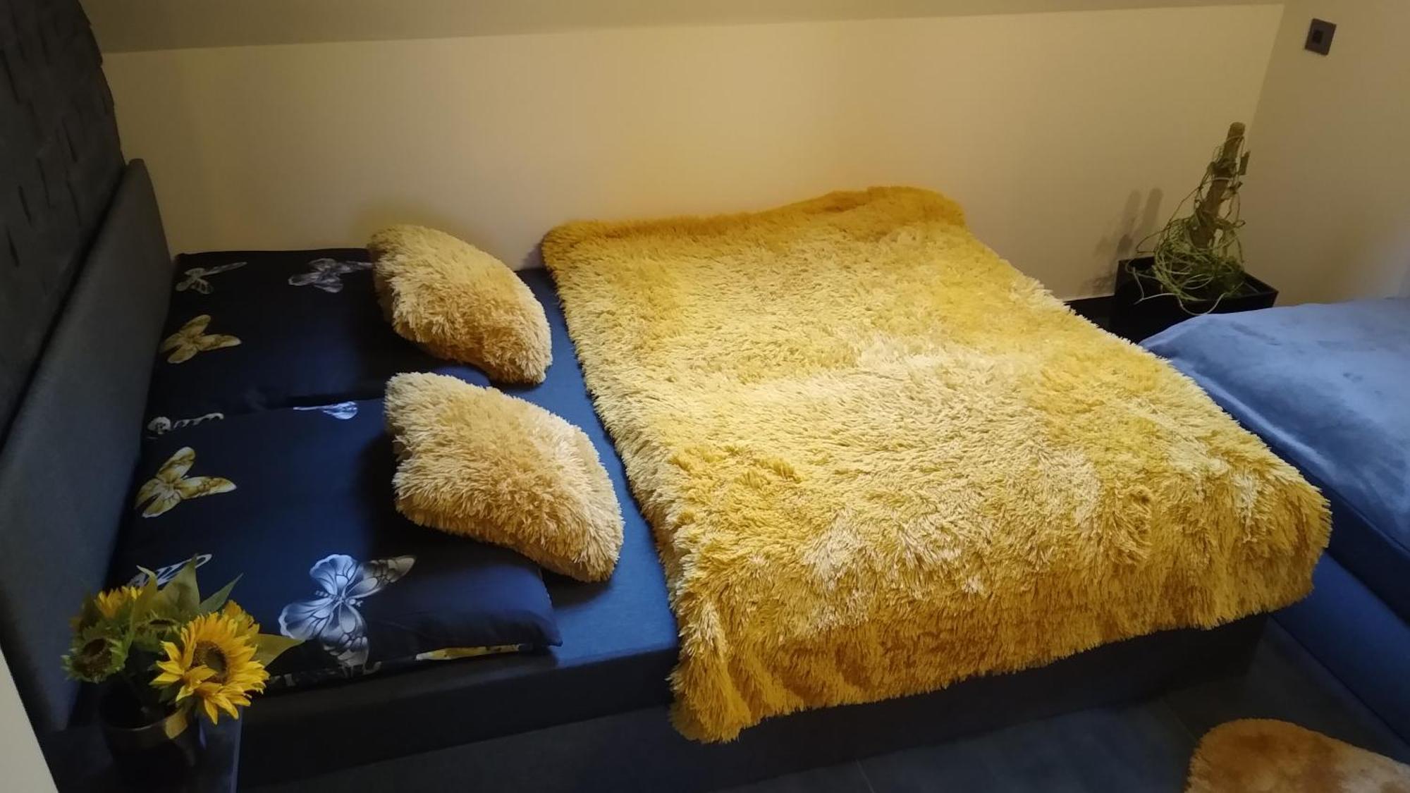 Apartament Zaciszny Zakatek Zawoja Zewnętrze zdjęcie