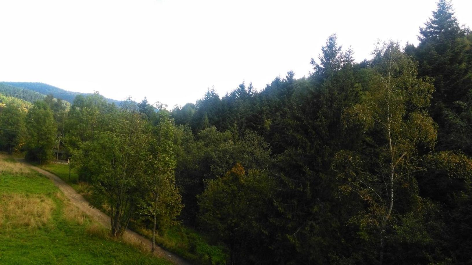 Apartament Zaciszny Zakatek Zawoja Zewnętrze zdjęcie