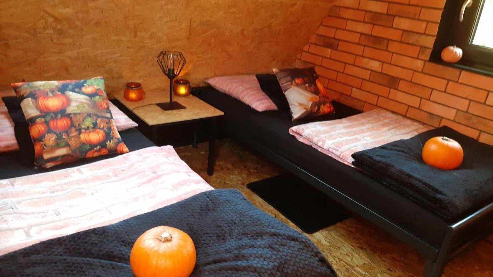 Apartament Zaciszny Zakatek Zawoja Zewnętrze zdjęcie